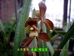 0356d0611da931472bed873a8edacb74.jpg