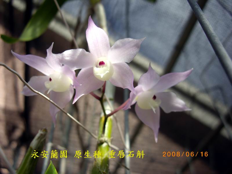 5ac14419c07caf879a59eb36767f3061.JPG