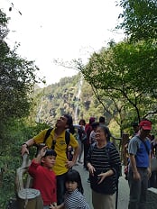 8a27f7b89ad7a9ca972ee7447ba822b8.jpg