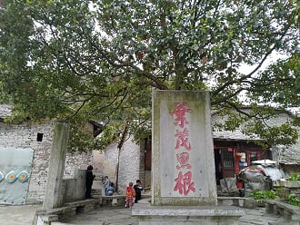 af093f54f9f32ccf0a55ac57e1886e8b.jpg