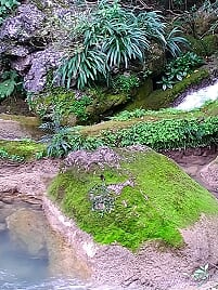 d9099cd0d44233b8f70289e7f62694b5.jpg